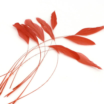 Teardrop Coq Feathers 17 to 25cm x 10pcs - CO017