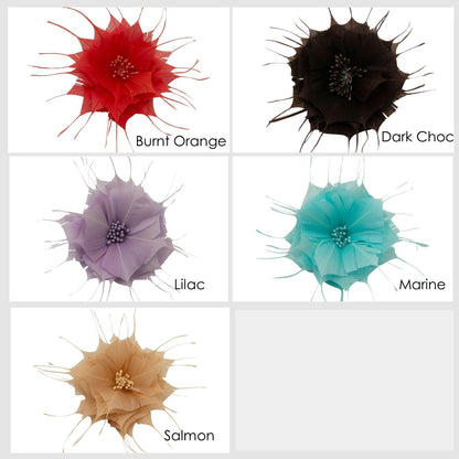 Goose Feather Star Flower 14cm - FM024