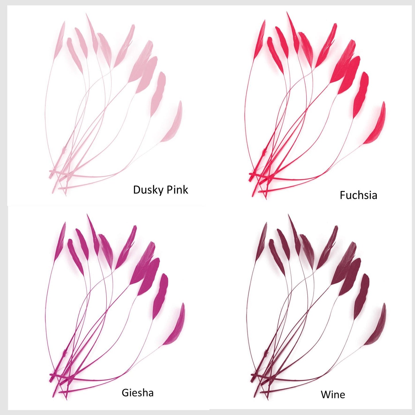 Teardrop Coq Feathers 17 to 25cm x 10pcs - CO017