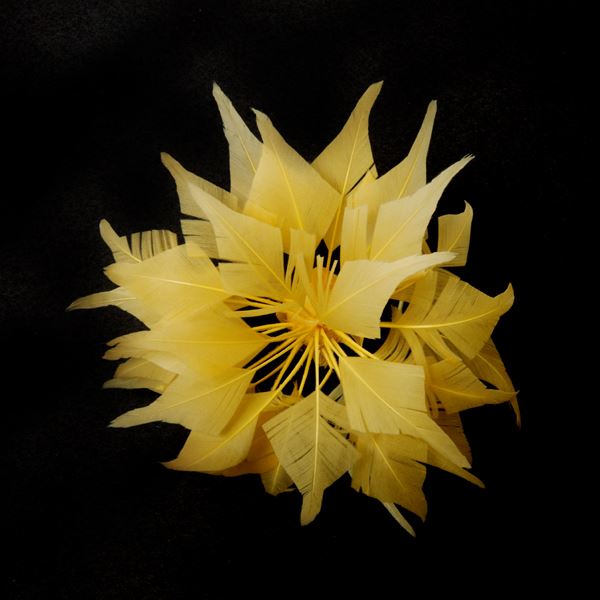 Diamond Tip Goose Flower 15cm - FM103