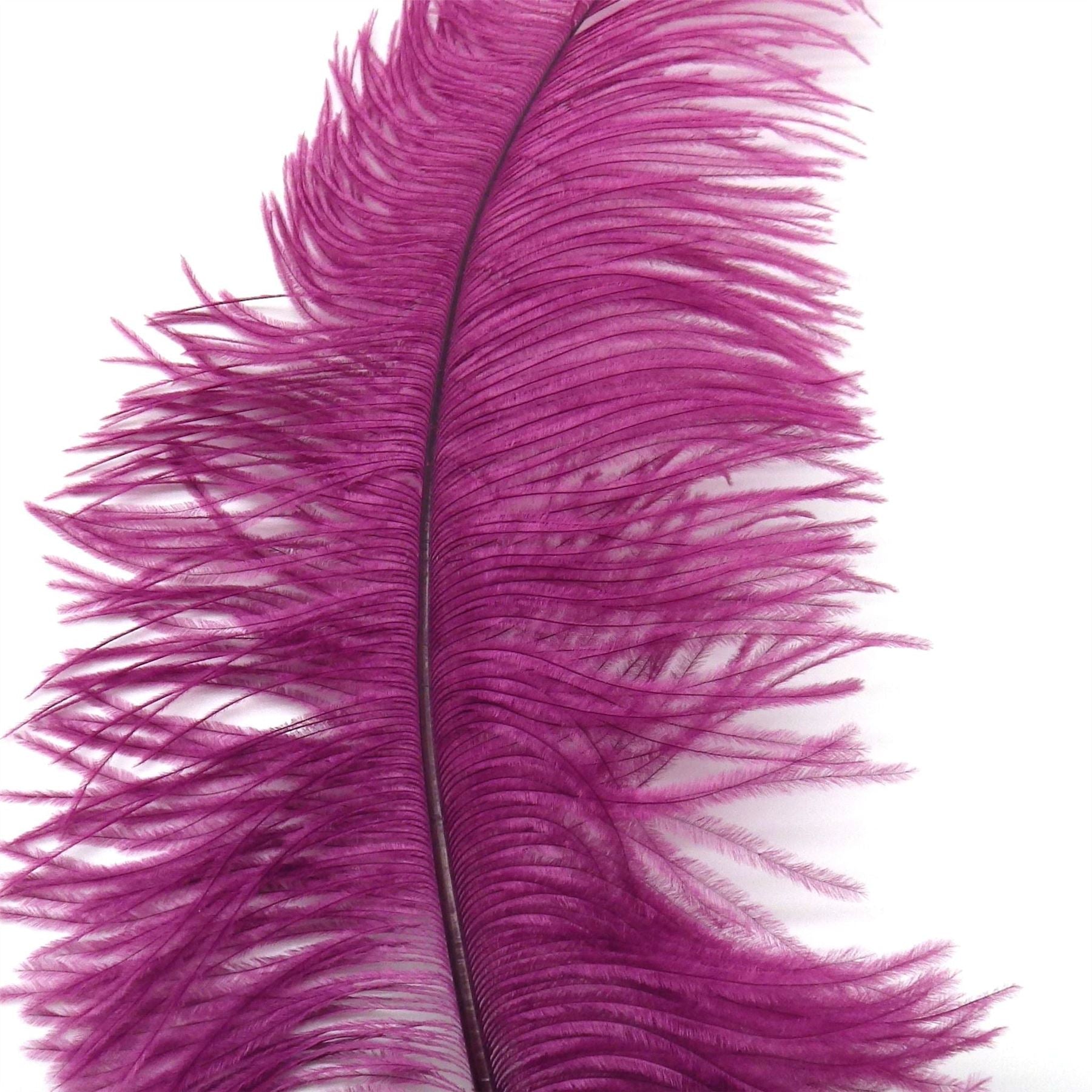 Purple ostrich feathers clearance for sale