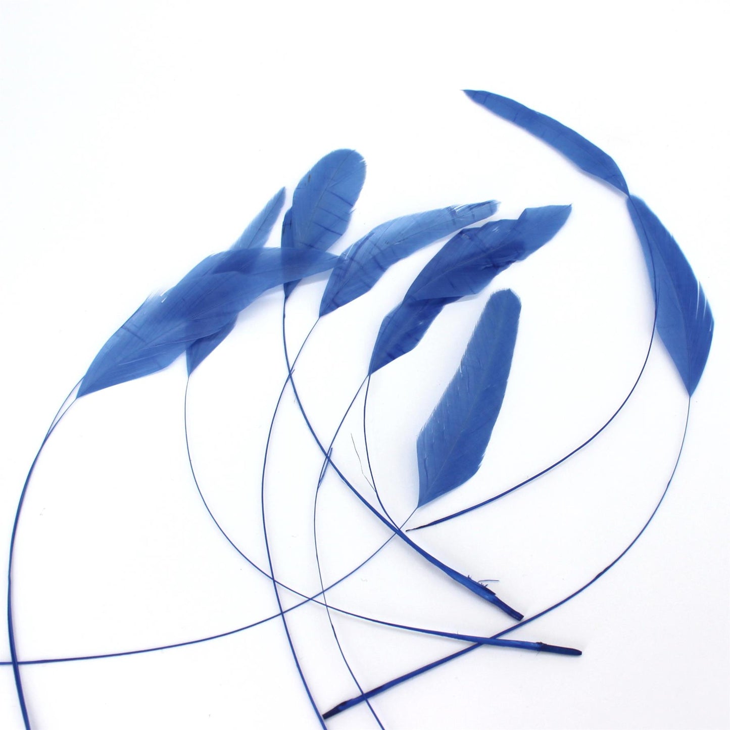 Teardrop Coq Feathers 17 to 25cm x 10pcs - CO017