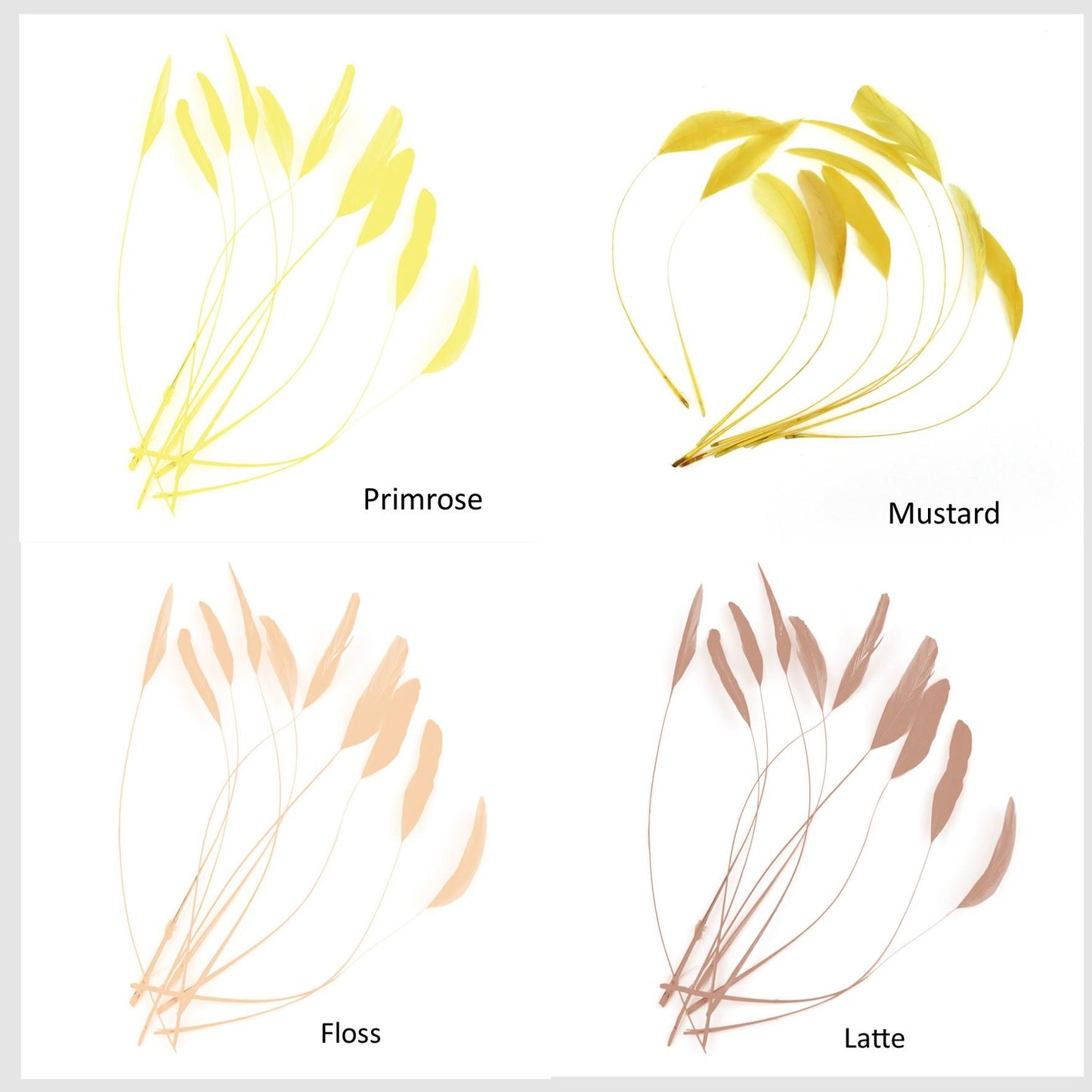 Teardrop Coq Feathers 17 to 25cm x 10pcs - CO017