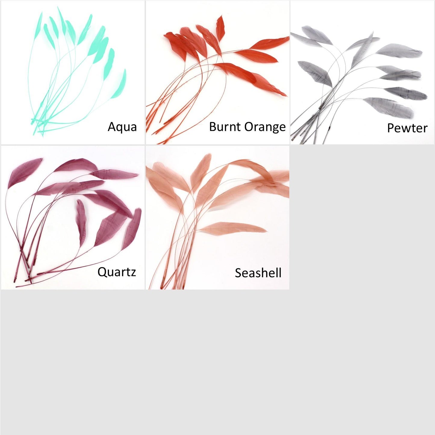 Teardrop Coq Feathers 17 to 25cm x 10pcs - CO017
