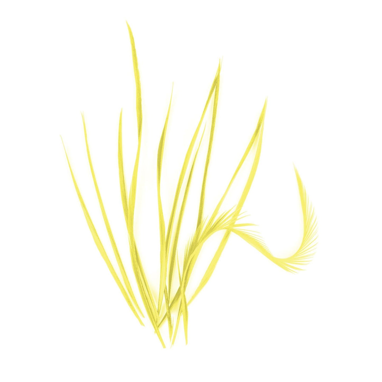 Spiky Goose Biot Feathers 14cm x 10pcs - FR913