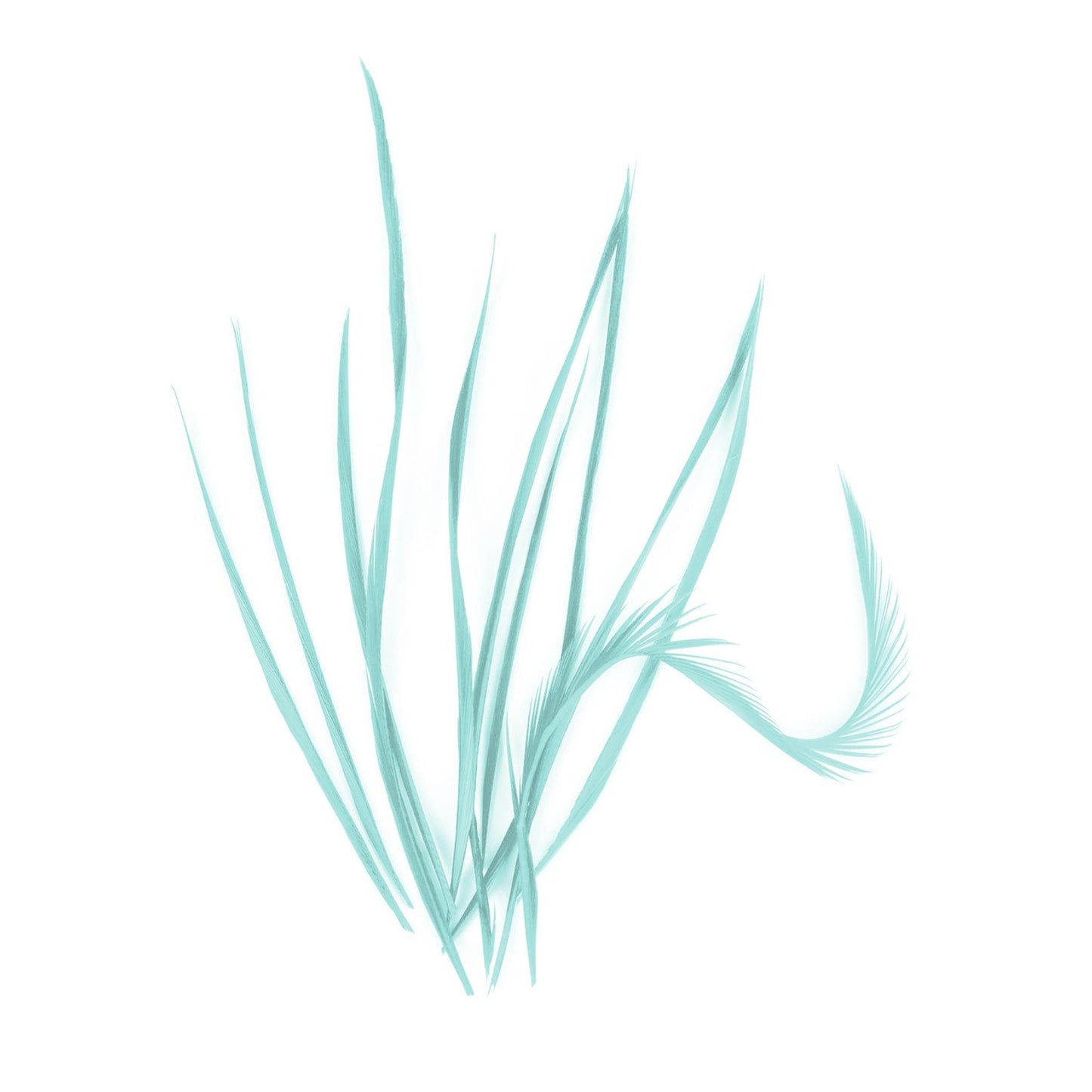 Spiky Goose Biot Feathers 14cm x 10pcs - FR913