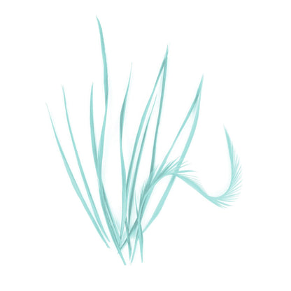 Spiky Goose Biot Feathers 14cm x 10pcs - FR913