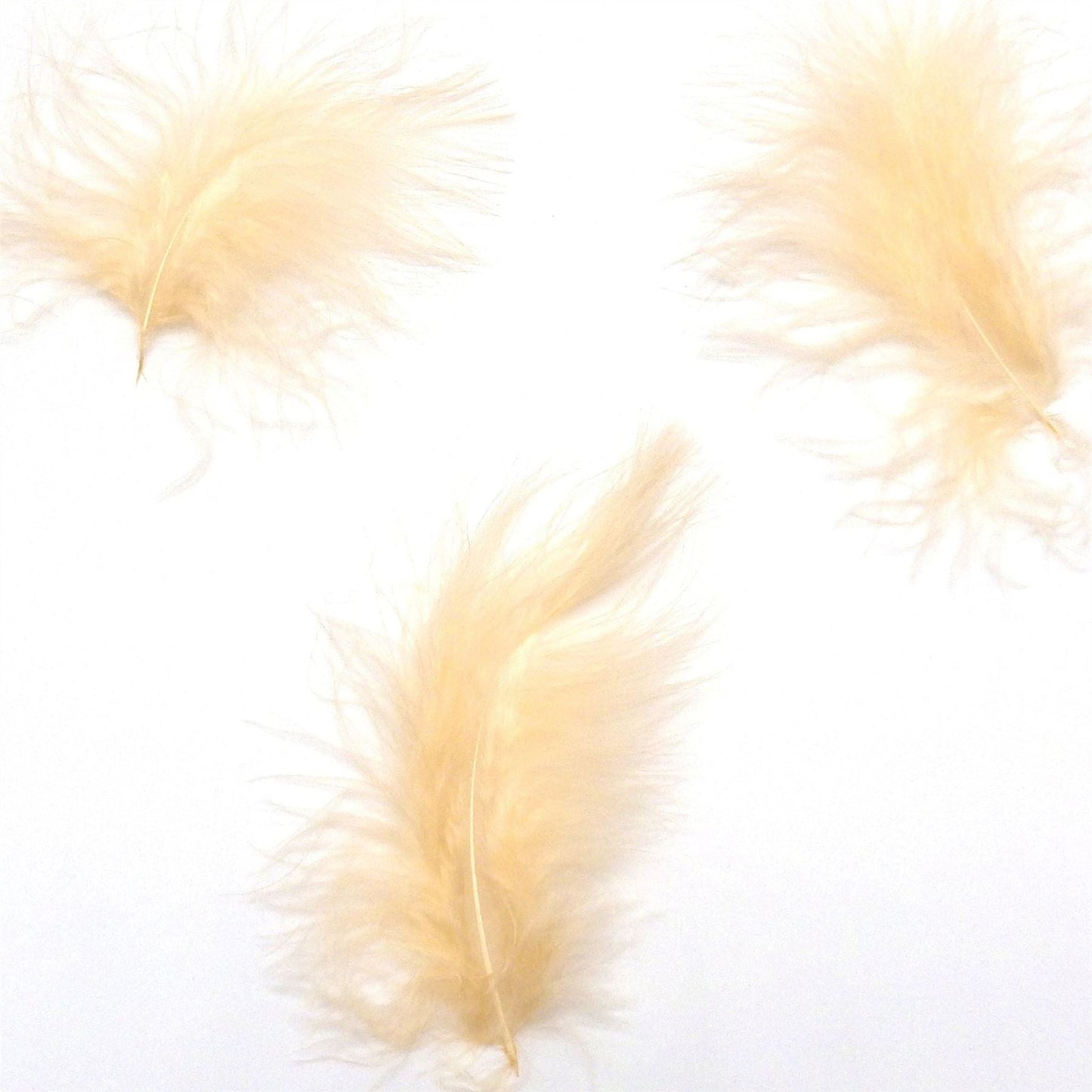Marabou Feathers x 20pcs FE008