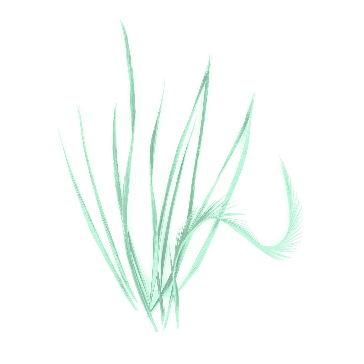 Spiky Goose Biot Feathers 14cm x 10pcs - FR913