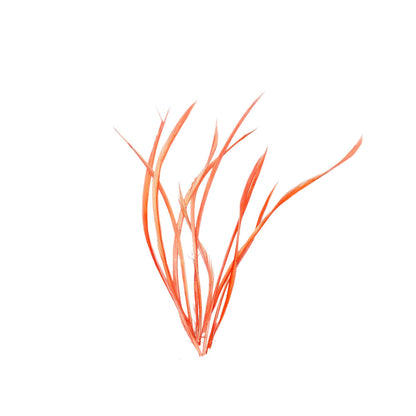 Spiky Goose Biot Feathers 14cm x 10pcs - FR913