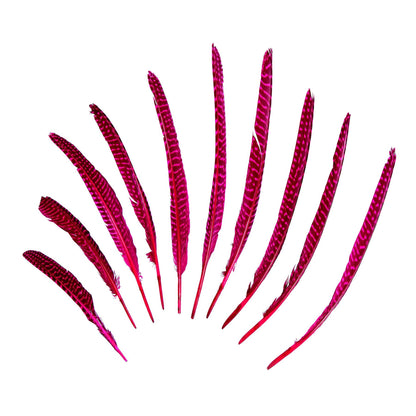 Guinea Fowl Pheasant Wing Feather x 10 FE002
