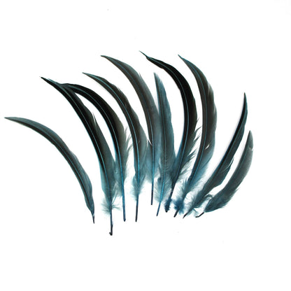 Two Tone Pheasant Feather x 10pcs FE010