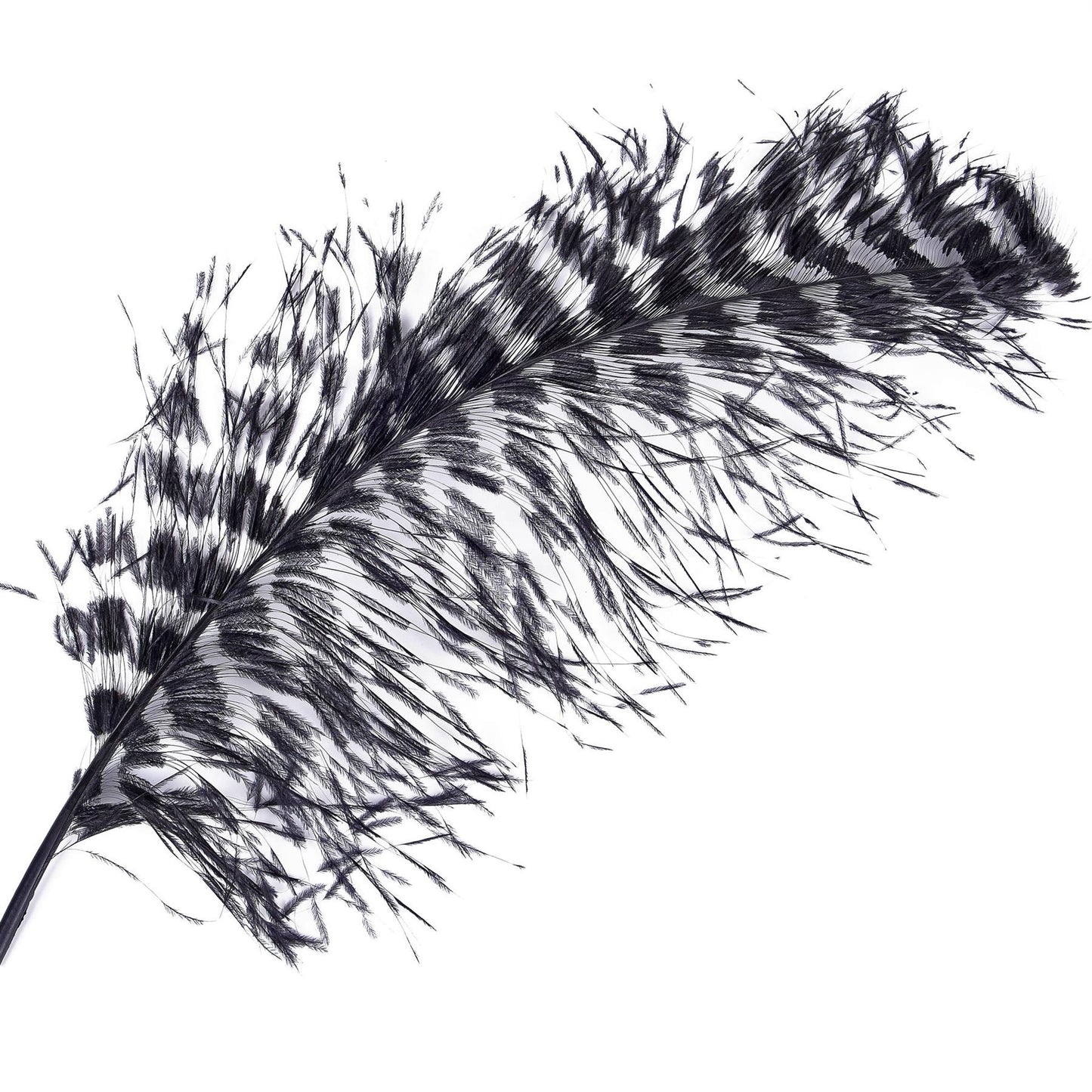 Ostrich Plume Space Burnt 60cm - FE001