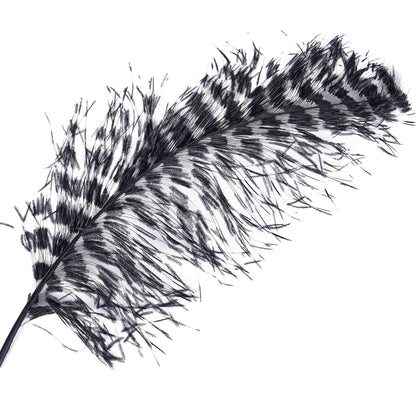 Ostrich Plume Space Burnt 60cm - FE001