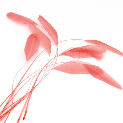 Teardrop Coq Feathers 17 to 25cm x 10pcs - CO017