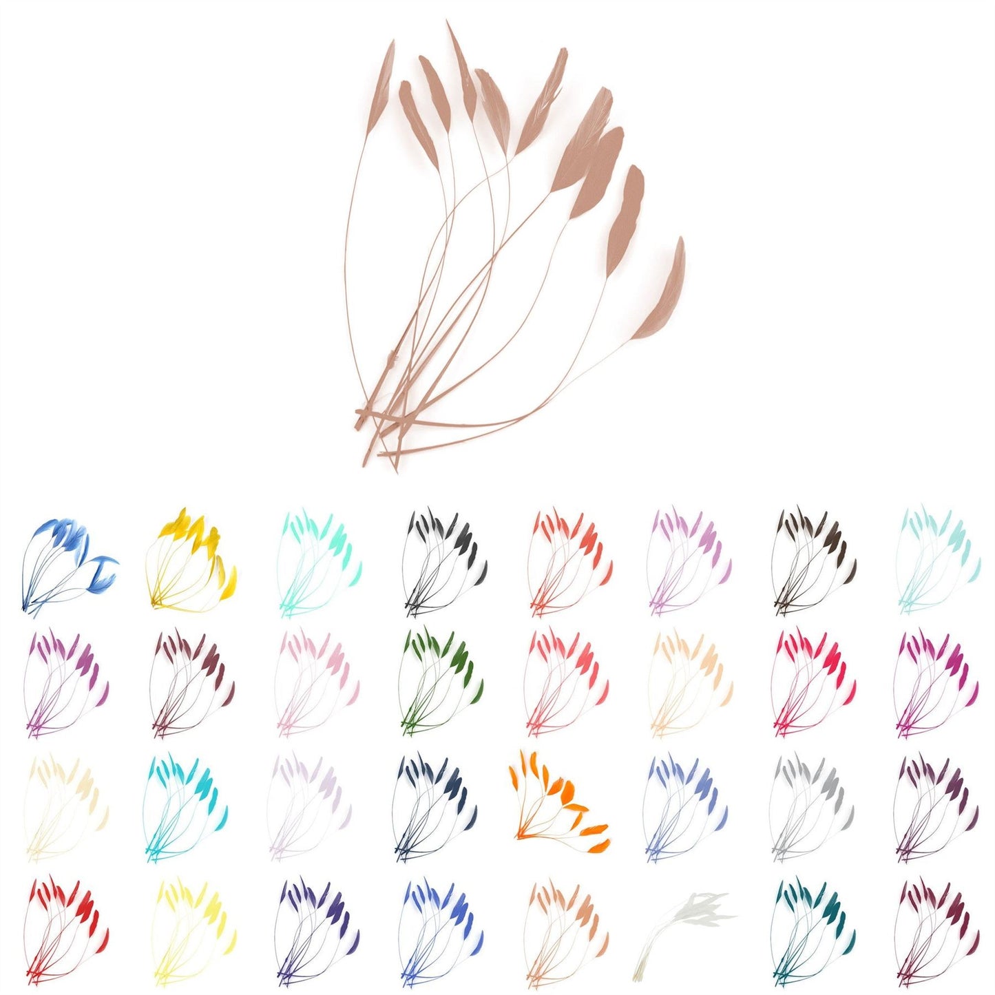 Teardrop Coq Feathers 17 to 25cm x 10pcs - CO017