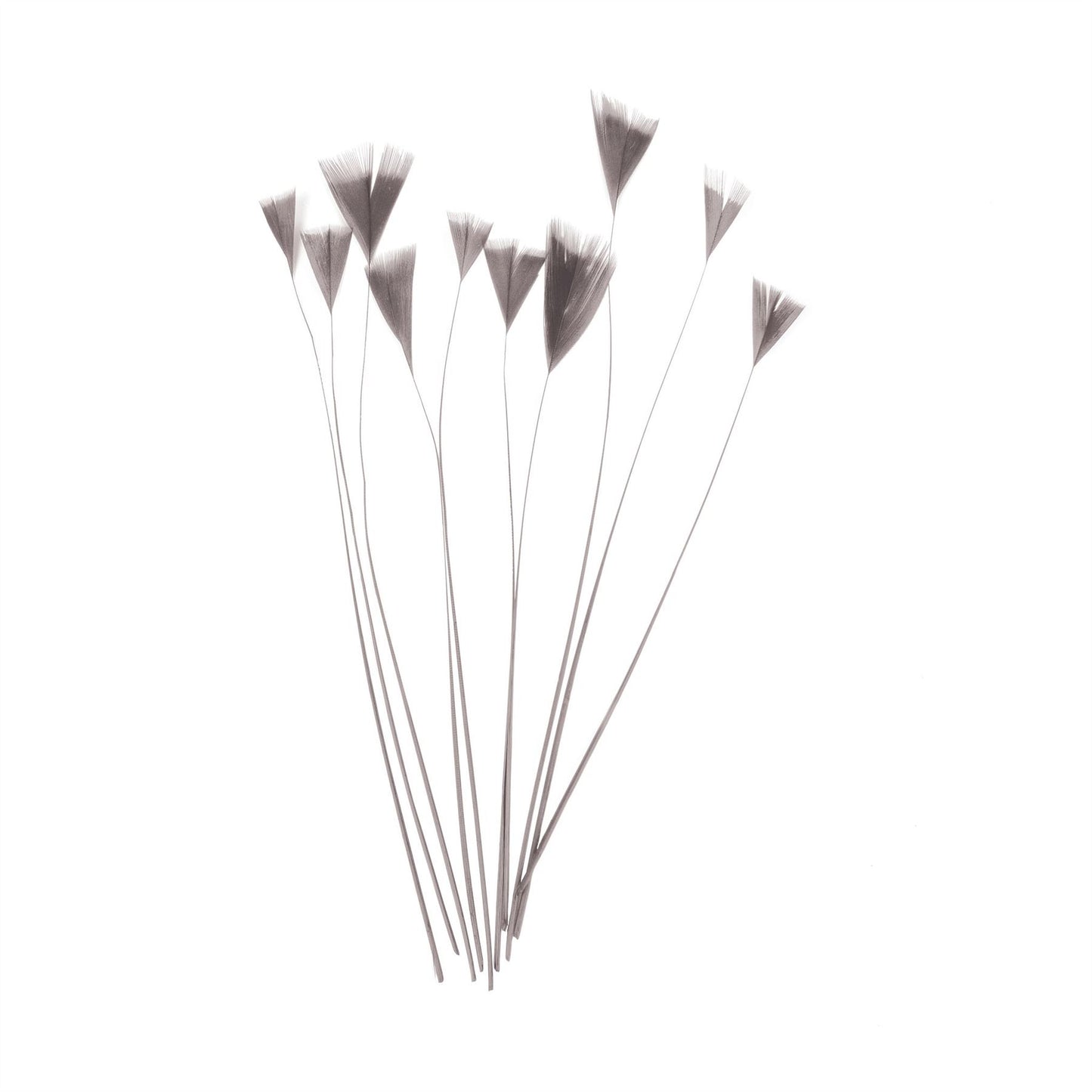 Stripped Turkey Feathers x 10pcs - FE004