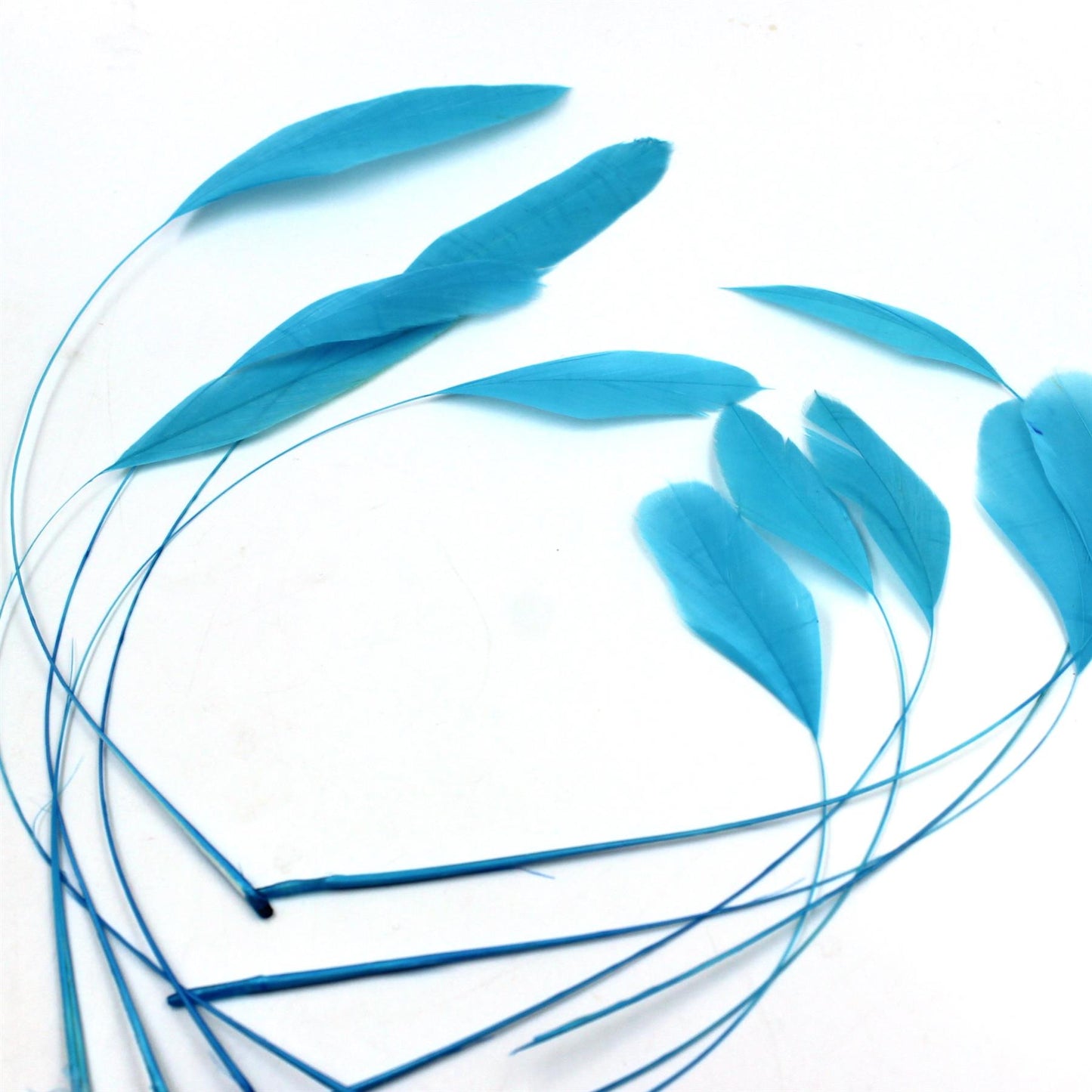 Teardrop Coq Feathers 17 to 25cm x 10pcs - CO017
