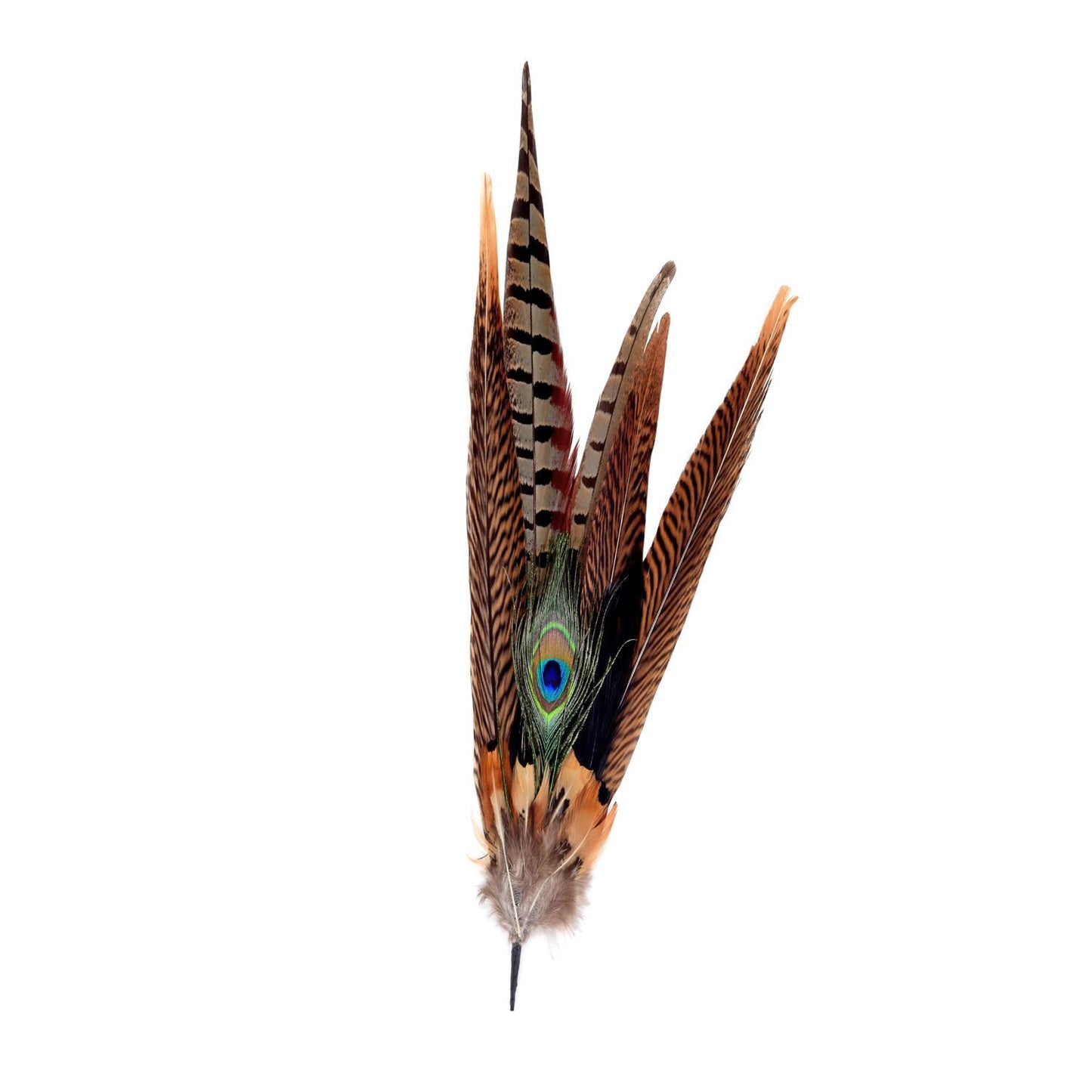 Natural Pheasant Peacock Feather Mount FM015