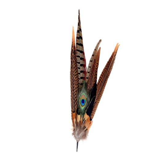 Natural Pheasant Peacock Feather Mount FM015