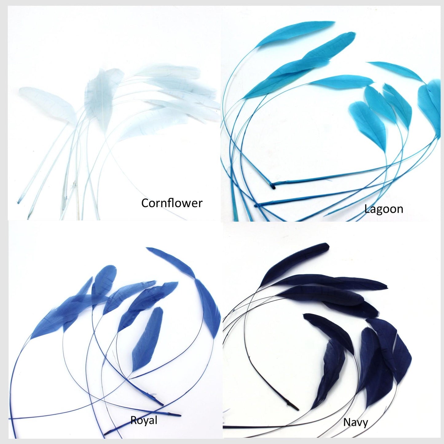 Teardrop Coq Feathers 17 to 25cm x 10pcs - CO017