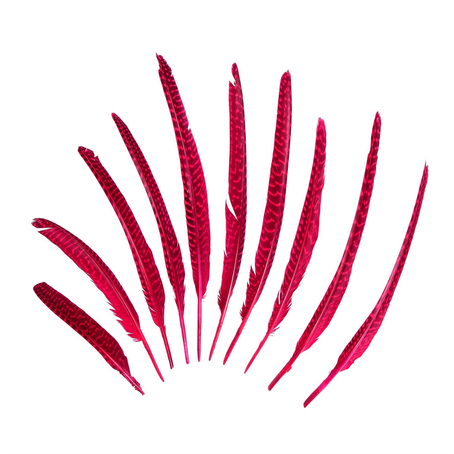 Guinea Fowl Pheasant Wing Feather x 10pcs - FE002