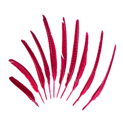 Guinea Fowl Pheasant Wing Feather x 10pcs - FE002