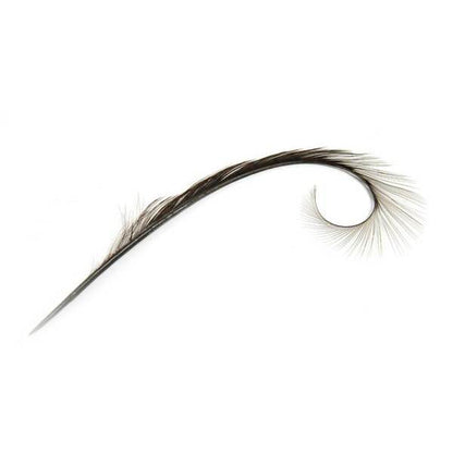 Burnt Pheasant Curled Feather - FE011