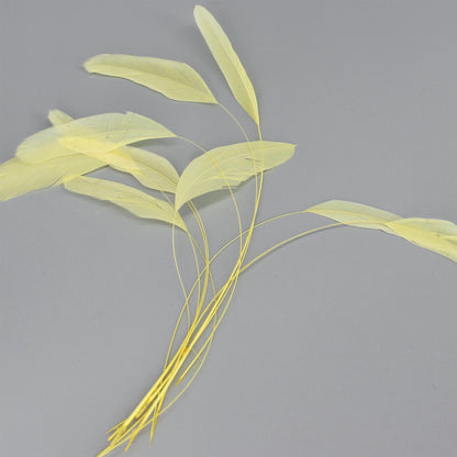 Teardrop Coq Feathers 17 to 25cm x 10pcs - CO017