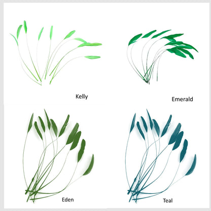 Teardrop Coq Feathers 17 to 25cm x 10pcs - CO017