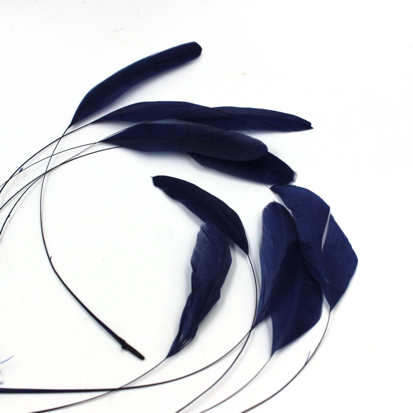 Teardrop Coq Feathers 17 to 25cm x 10pcs - CO017