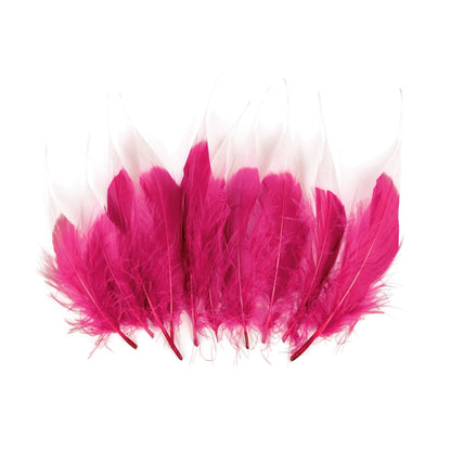 Tip Dyed Goose Feather x 10pcs FE005
