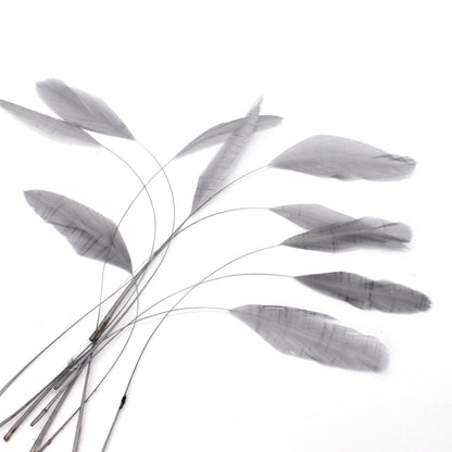 Teardrop Coq Feathers 17 to 25cm x 10pcs - CO017