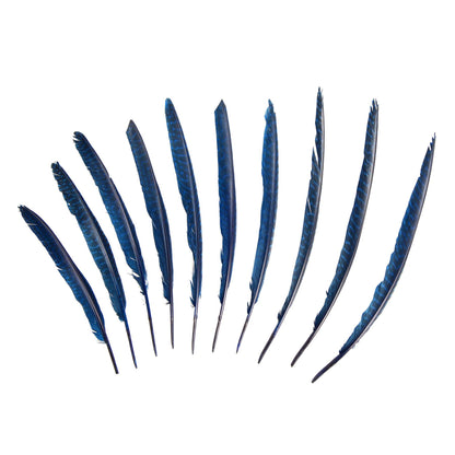 Guinea Fowl Pheasant Wing Feather x 10pcs - FE002