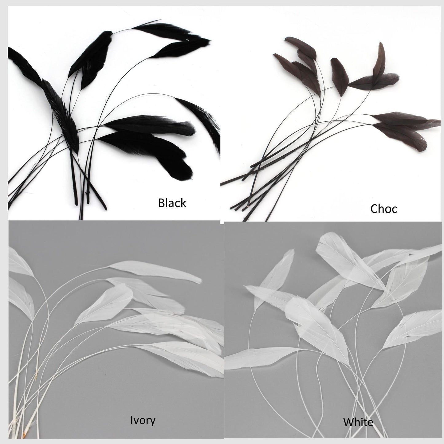 Teardrop Coq Feathers 17 to 25cm x 10pcs - CO017