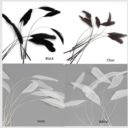 Teardrop Coq Feathers 17 to 25cm x 10pcs - CO017