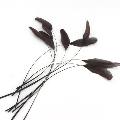 Teardrop Coq Feathers 17 to 25cm x 10pcs - CO017