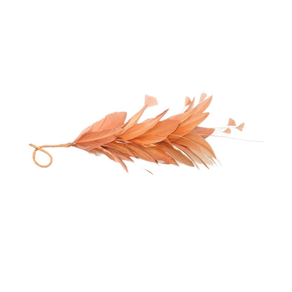Goose Feather Stripped Coq Mount 22cm FM082