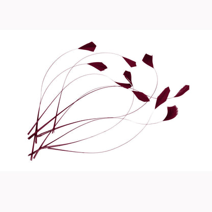 Teardrop Coq Feathers 20cm x 5pcs - CO004