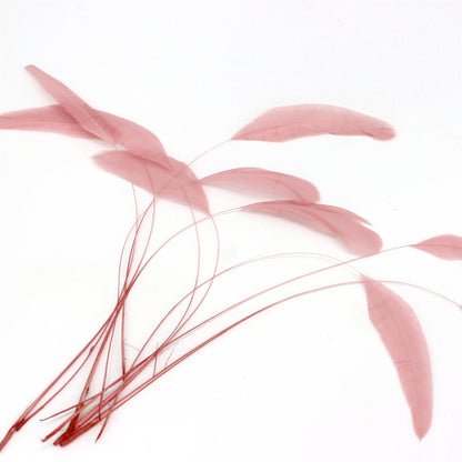 Teardrop Coq Feathers 17 to 25cm x 10pcs - CO017