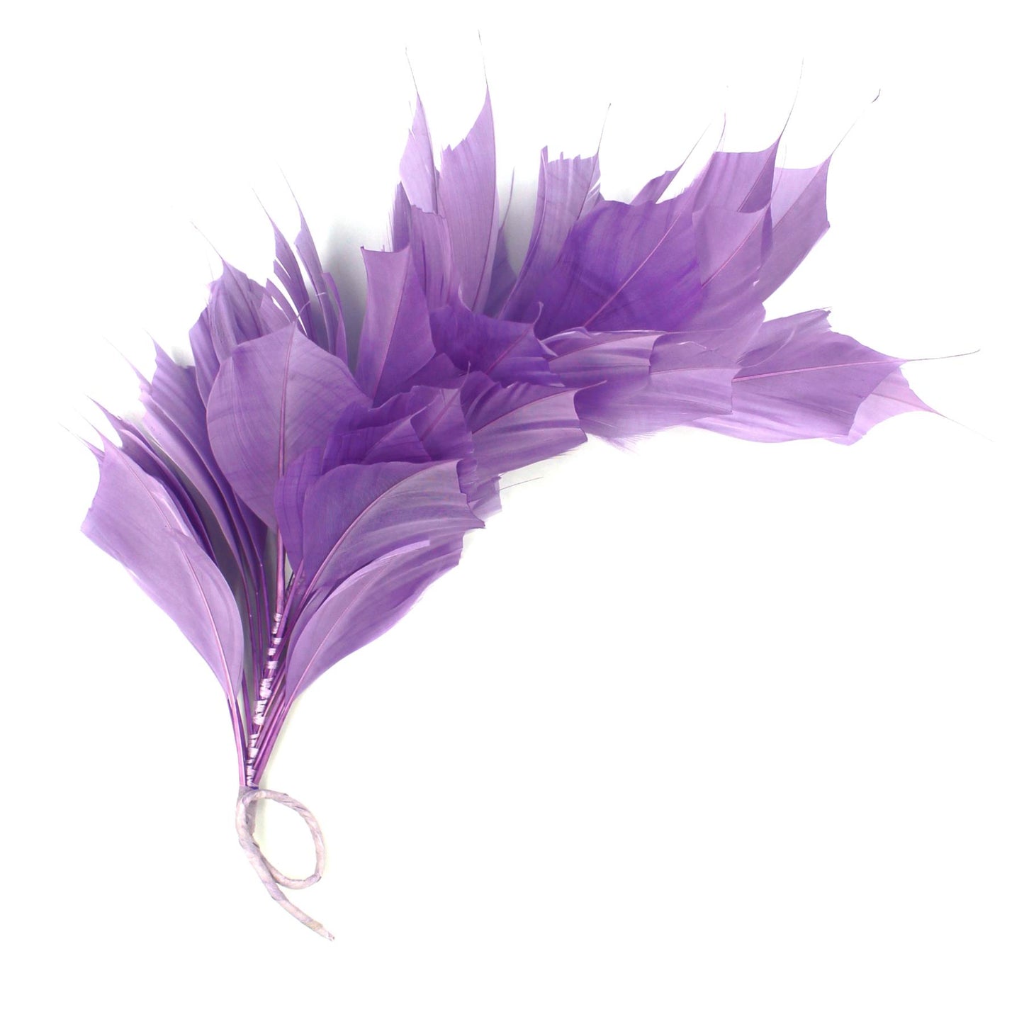 Spiky Goose Mount on Wire 25cm - FM045