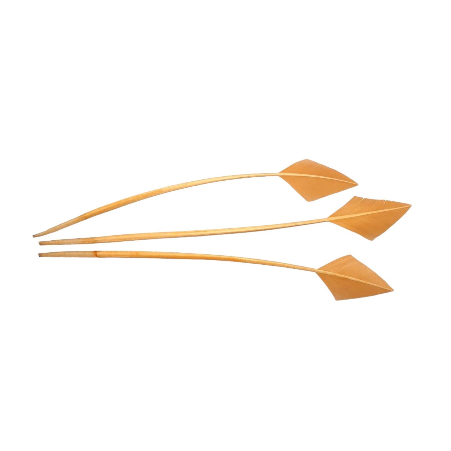 Arrow Head Turkey Feather 30cm x 3pcs - FE014