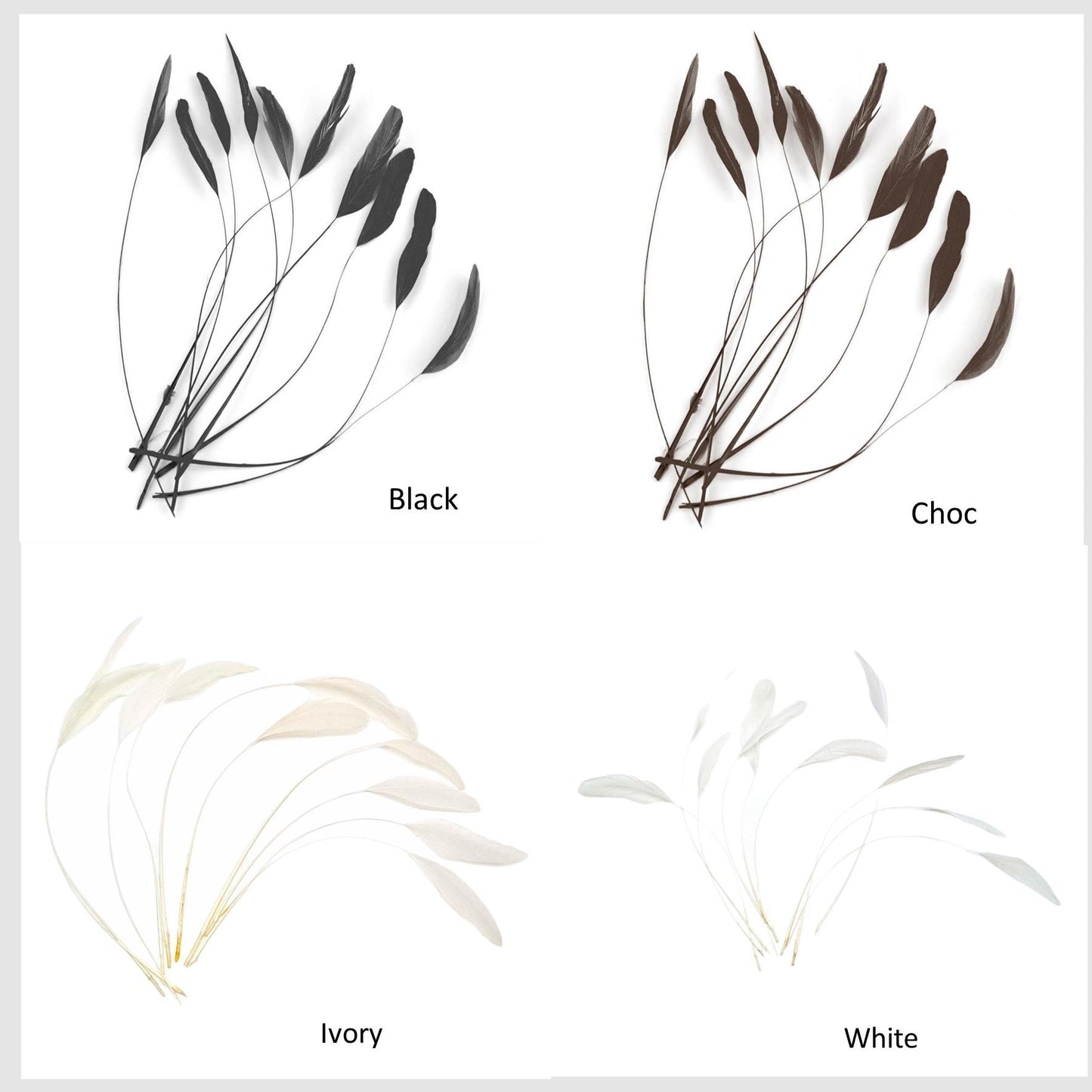 Teardrop Coq Feathers 17 to 25cm x 10pcs - CO017