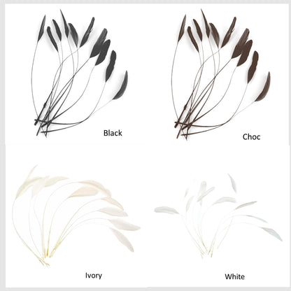 Teardrop Coq Feathers 17 to 25cm x 10pcs - CO017