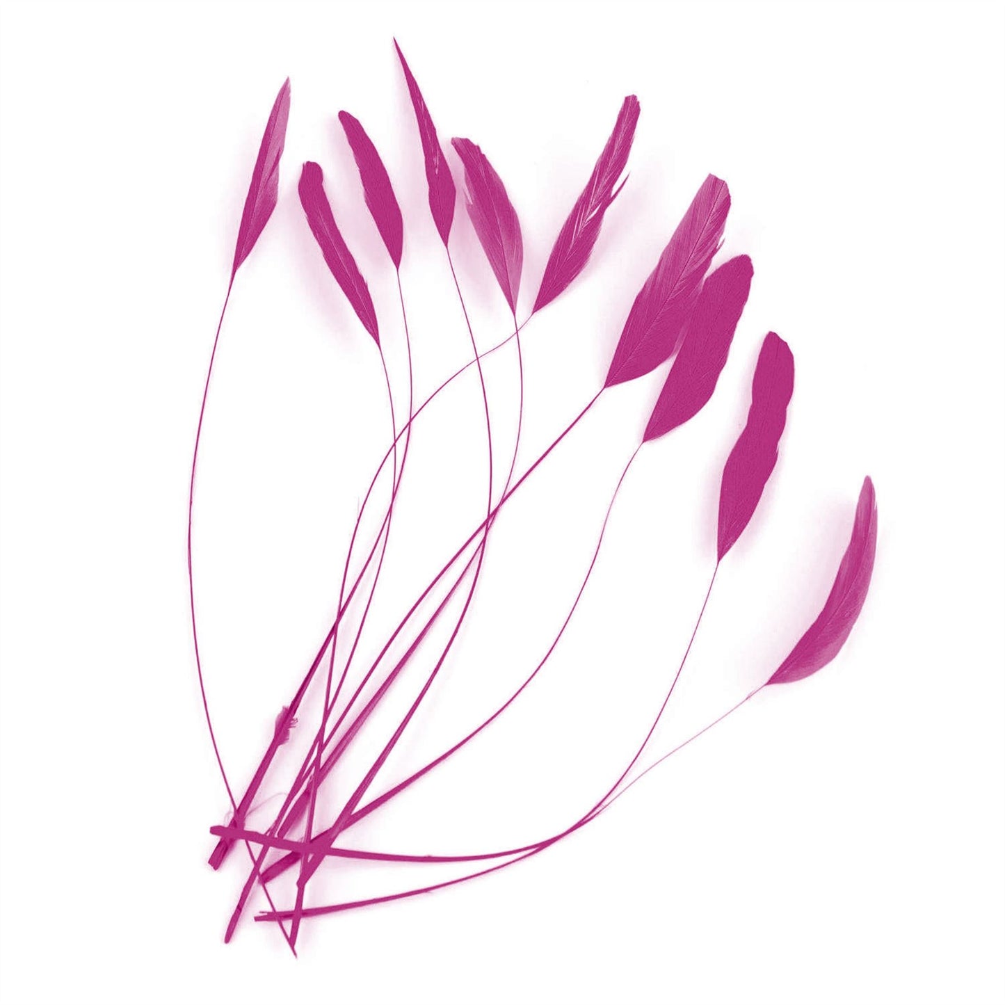 Teardrop Coq Feathers 17 to 25cm x 10pcs - CO017