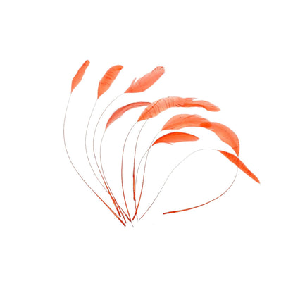 Teardrop Coq Feathers 17 to 25cm x 10pcs - CO017