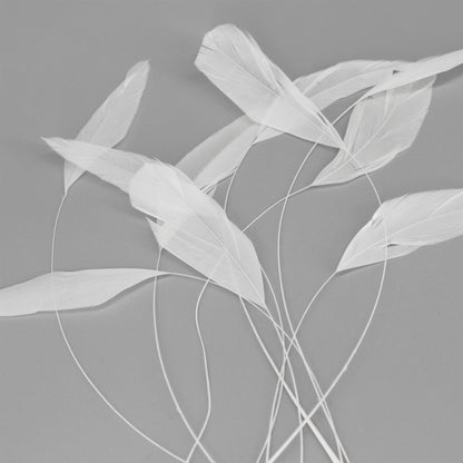 Teardrop Coq Feathers 17 to 25cm x 10pcs - CO017