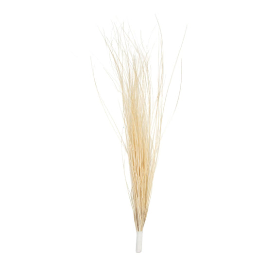 Burnt Peacock Brush Mount 20cm - FM083
