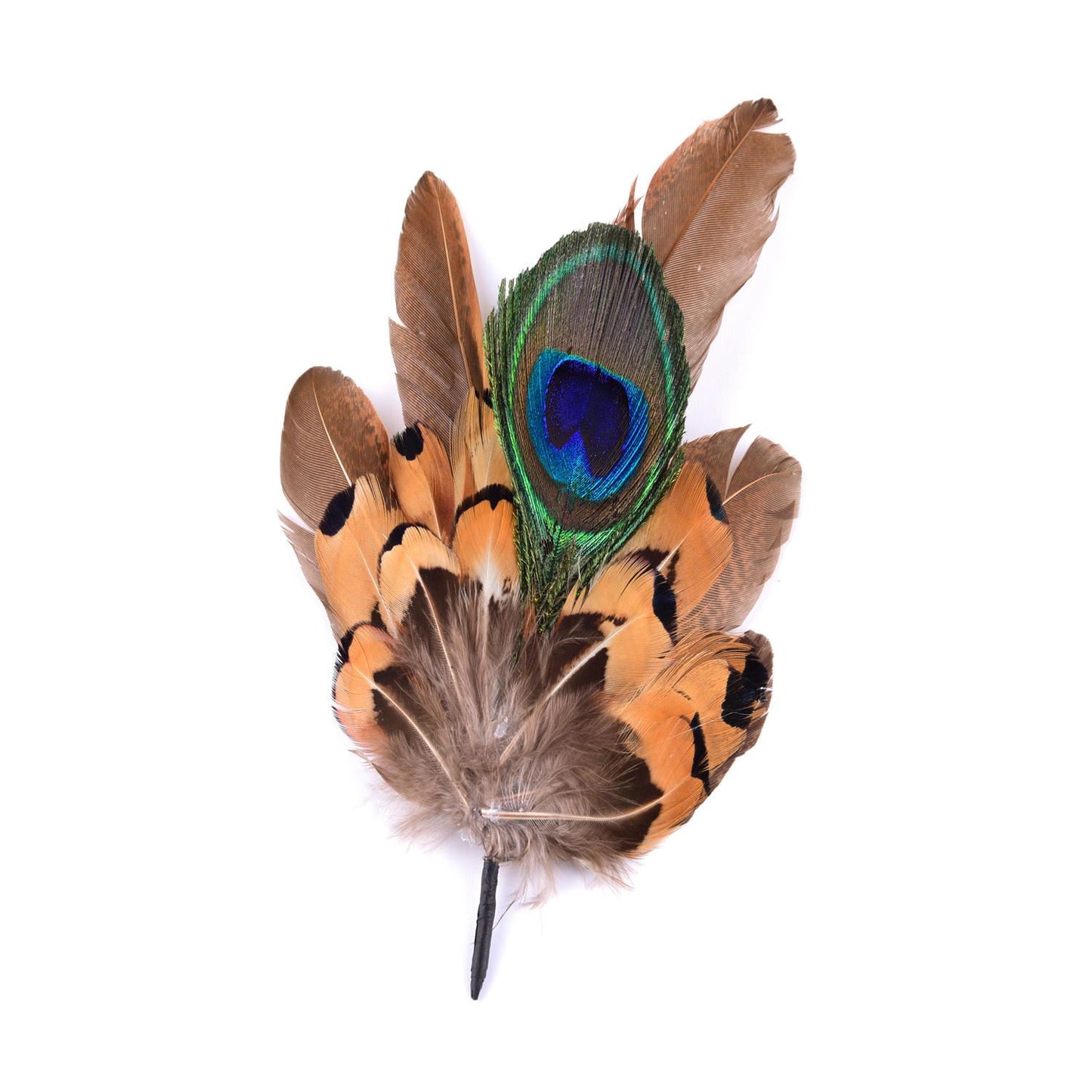 Natural Medium Pheasant Feather Mount FM012