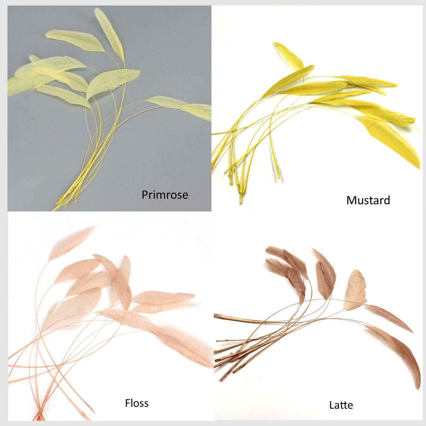 Teardrop Coq Feathers 17 to 25cm x 10pcs - CO017